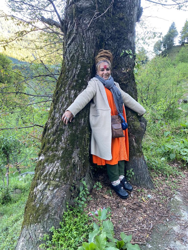 SshivaniDurga's tweet photo. #HimachalPradesh #HimachalDiaries #SshivaniDurga https://t.co/LLSWHAvmHW