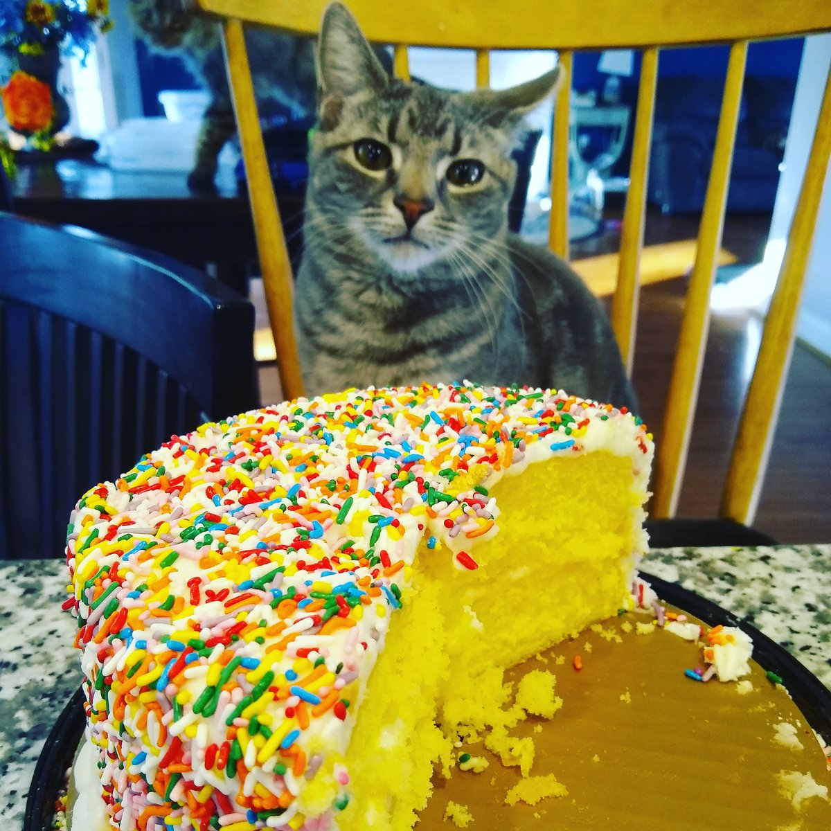 After having Calvin's #birthdaycake India says to me: 'Mommy, since you forced me to eat cake, can I have a different treat?'
Me: 'India, I'm not one to be #victimblaming but you were happy to take the cake and seemed to happily gobble the thing down'
 #haveyourcakeandeatittoo