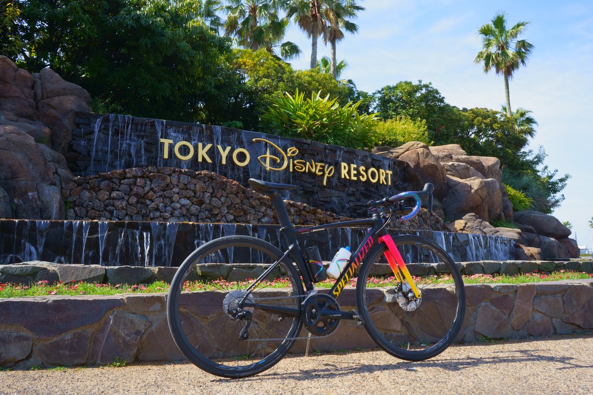 nikachan14run's tweet photo. 1枚目：カメラで撮ったまま
2枚目：RAW現像
#東京ディズニーリゾート 
#AllezSprintDisc
#SPECIALIZED
#ロードバイク
#めだたんぼー 
#カメラ初心者
#a7iii https://t.co/Ewlc4WLsrb