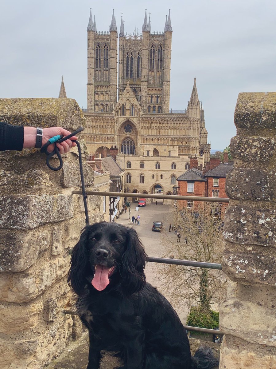 Pickos's tweet photo. Beautiful sunny walk around @LincolnCastle Penny enjoyed her pupaccino!
#lincolncastle #dogfriendly #dogfriendlyday https://t.co/k1V6I7q80U
