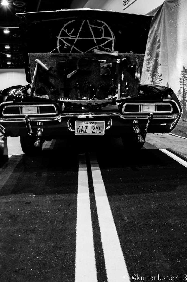 kunerksterphoto's tweet photo. Happy Birthday Baby. The most important object in the universe. 
#thortheimpala https://t.co/xwSIzSm0mW