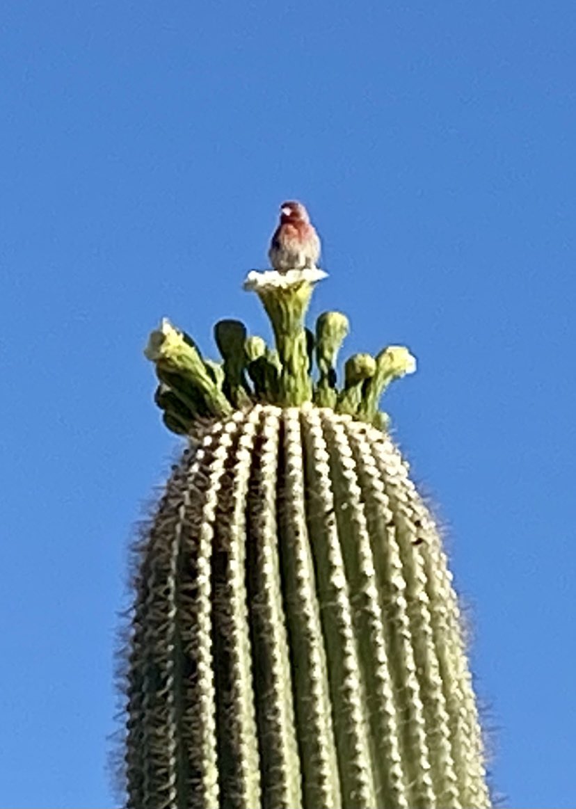 RevWarrenL's tweet image. Seen on my morning walk