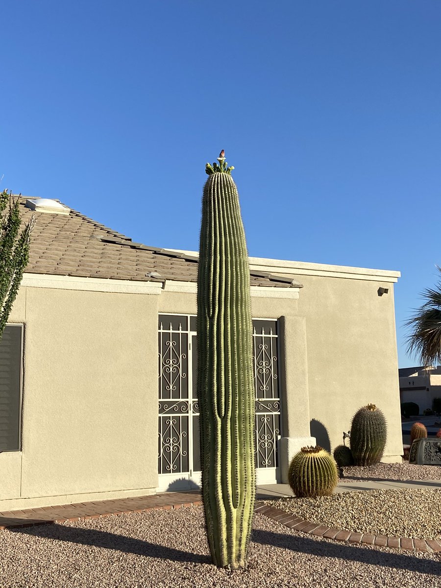 RevWarrenL's tweet image. Seen on my morning walk