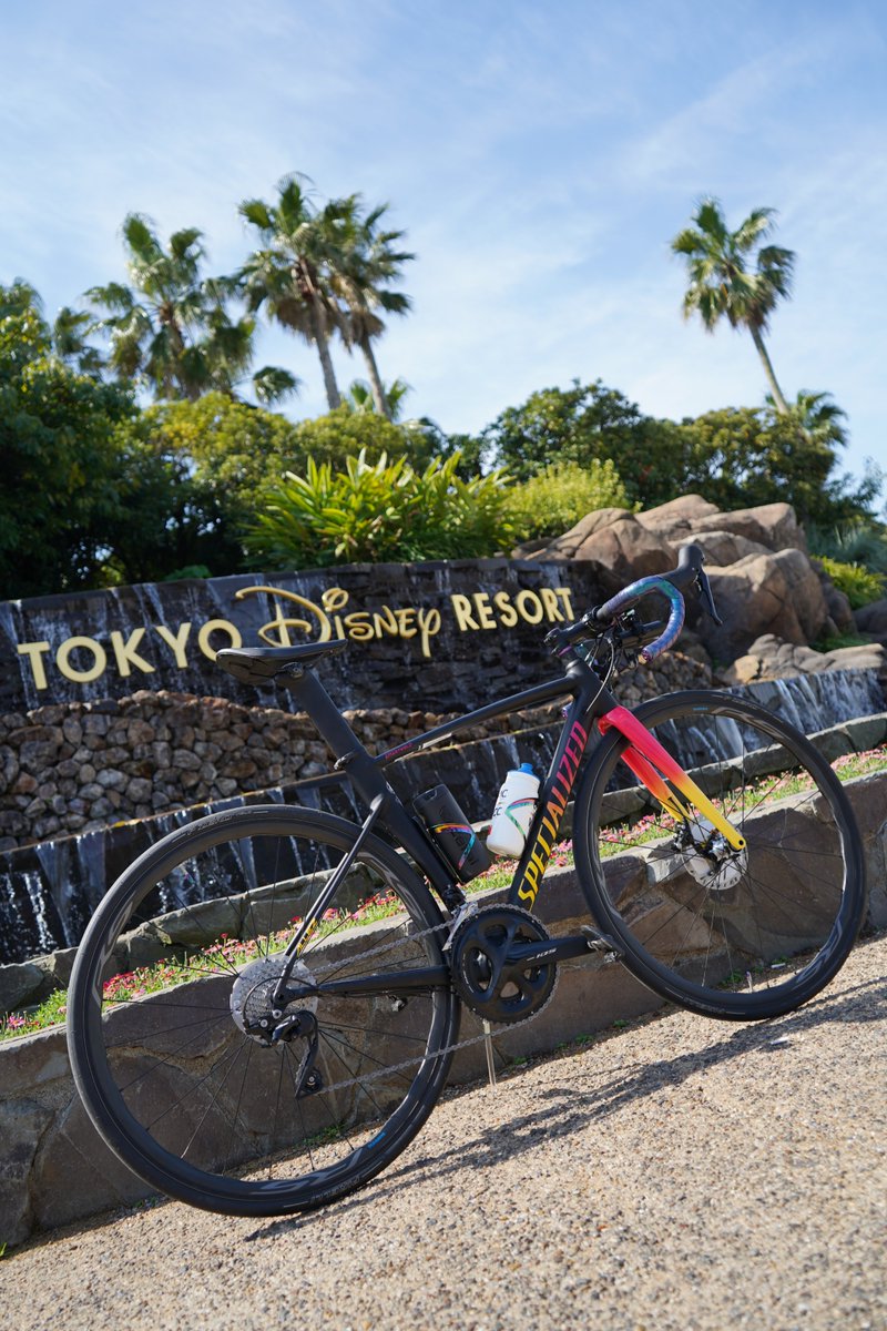 nikachan14run's tweet photo. 1枚目：カメラで撮ったまま
2枚目：HDR
#東京ディズニーリゾート 
#AllezSprintDisc
#SPECIALIZED
#ロードバイク
#めだたんぼー 
#カメラ初心者
#a7iii https://t.co/TwK9Vf7aMb