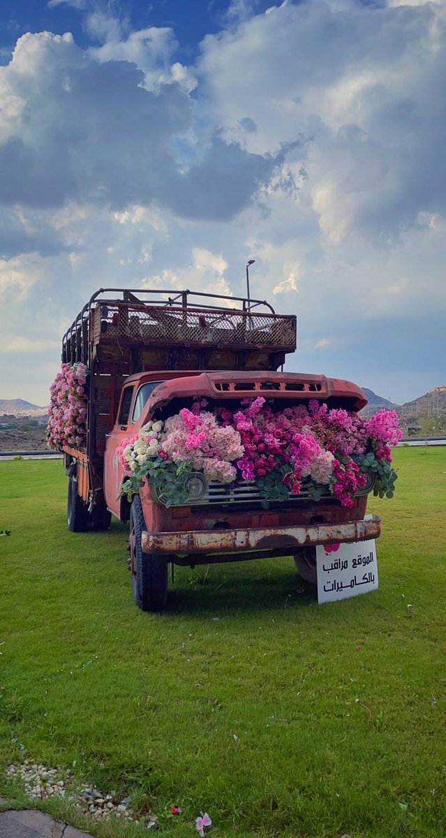 tarad501's tweet photo. تزيين شوارع #الطايف 🌸. https://t.co/YuohmSN4IH