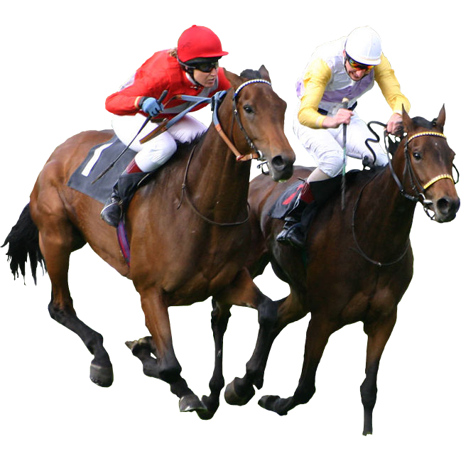 Join us May 15th for the Preakness Experience Event. 
 Sponsored by Ann Rotz Law. Who will win the Best Dressed Women, Man, Couple, and best hat competition? 
 Wonderful prizes and delicious food from 28 South and much more... Purchase you tickets here: secureonlinegiving.com/Auctions/site/…