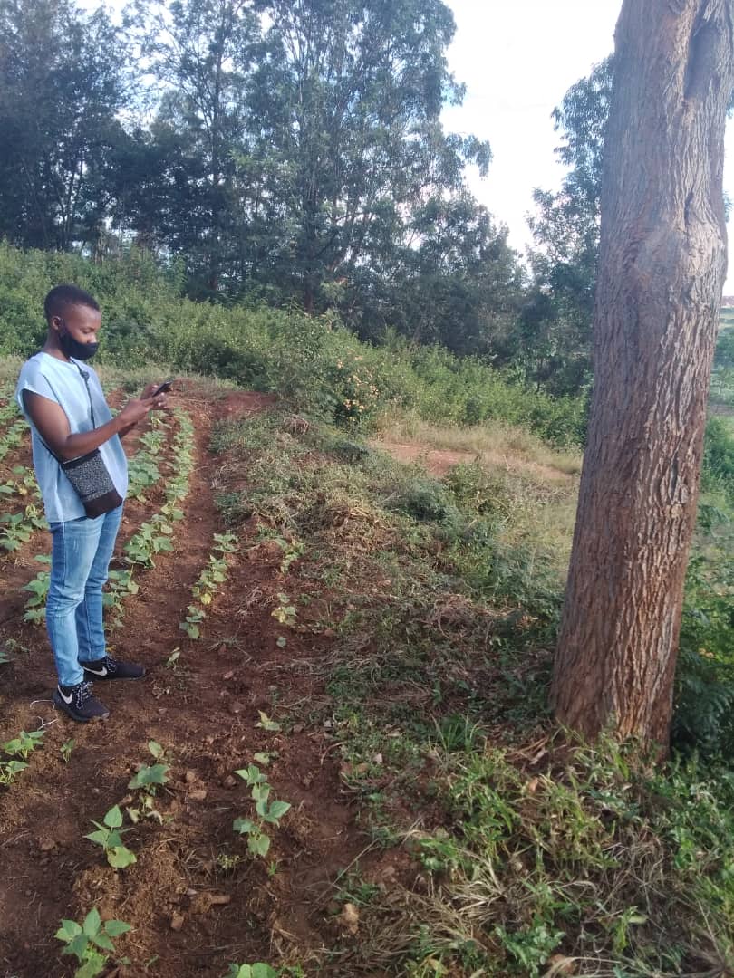 mnabiahmad's tweet photo. On 16th April 2021, Regreening Africa Rwanda team conducted a refresher training for round 2 data collection using #RegreeningApp. @RegreenAfrica @ICRAF @CIFOR @DecisionSHARED 📱🌿☘️🍀 https://t.co/7kE3RdtQHX