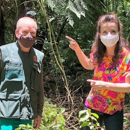 rpcparana's tweet image. Não é por nada não, mas se eu fosse você não perderia o #PlugRPC de hoje! 😎

Porque além do programa mostrar lugares "secretos" com muuuita natureza em Curitiba 🌱🌿🌳, você vai aprender a fazer "Chico Balanceado", uma torta caramelizada de creme deliciosa! Que tal? 🤤