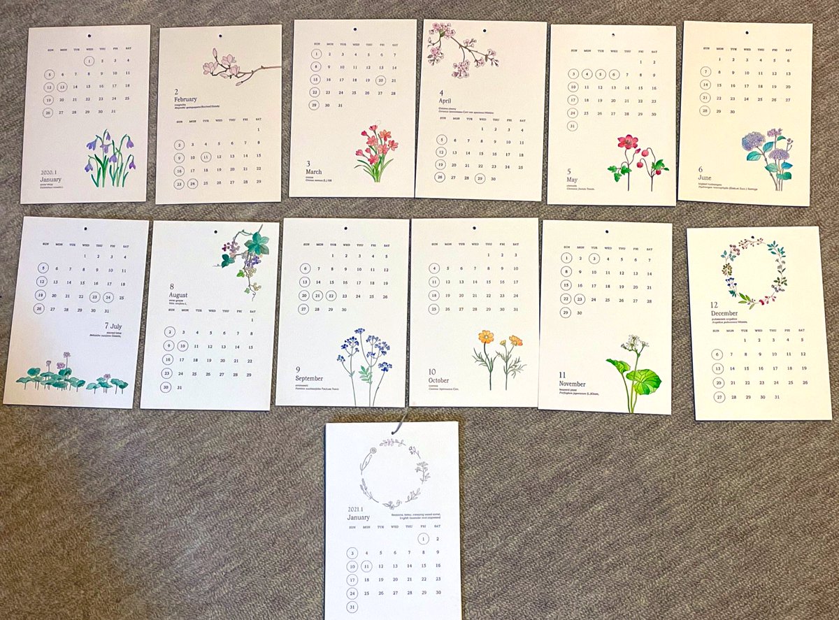 去年使ってたカレンダーの挿絵が可愛かったので透明水彩の練習として使った(今年のは下にあるやつ)

各月に草花が添えられているんだけど線画のみのシンプルデザイン、かつハガキより少し大きいくらいのコンパクトサイズで可愛い… 