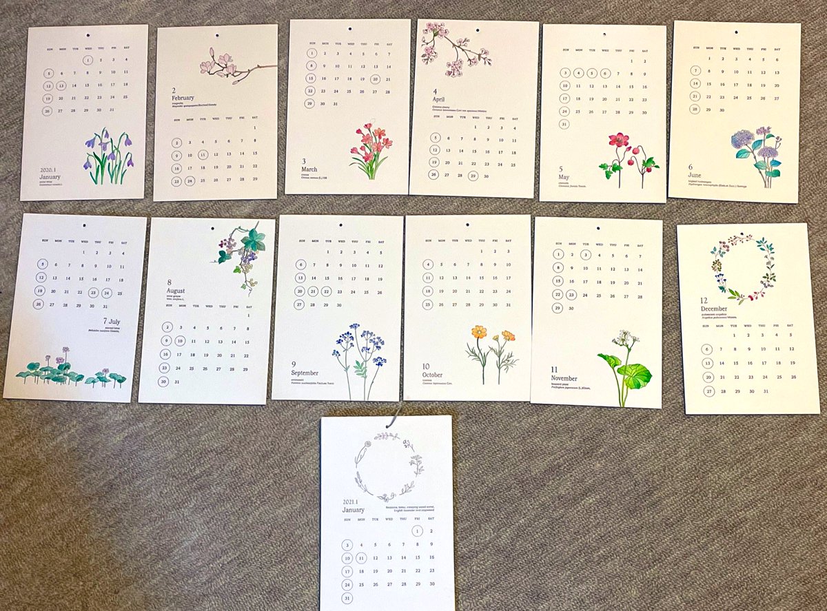 去年使ってたカレンダーの挿絵が可愛かったので透明水彩の練習として使った(今年のは下にあるやつ)

各月に草花が添えられているんだけど線画のみのシンプルデザイン、かつハガキより少し大きいくらいのコンパクトサイズで可愛い… 
