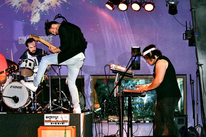 ProjectMcgrath's tweet image. Some shots from last night