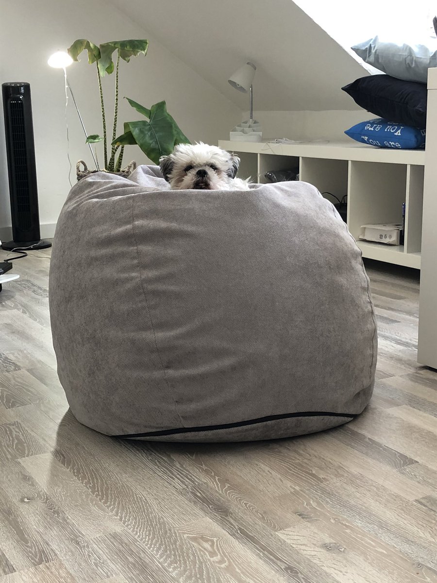 my good small boi