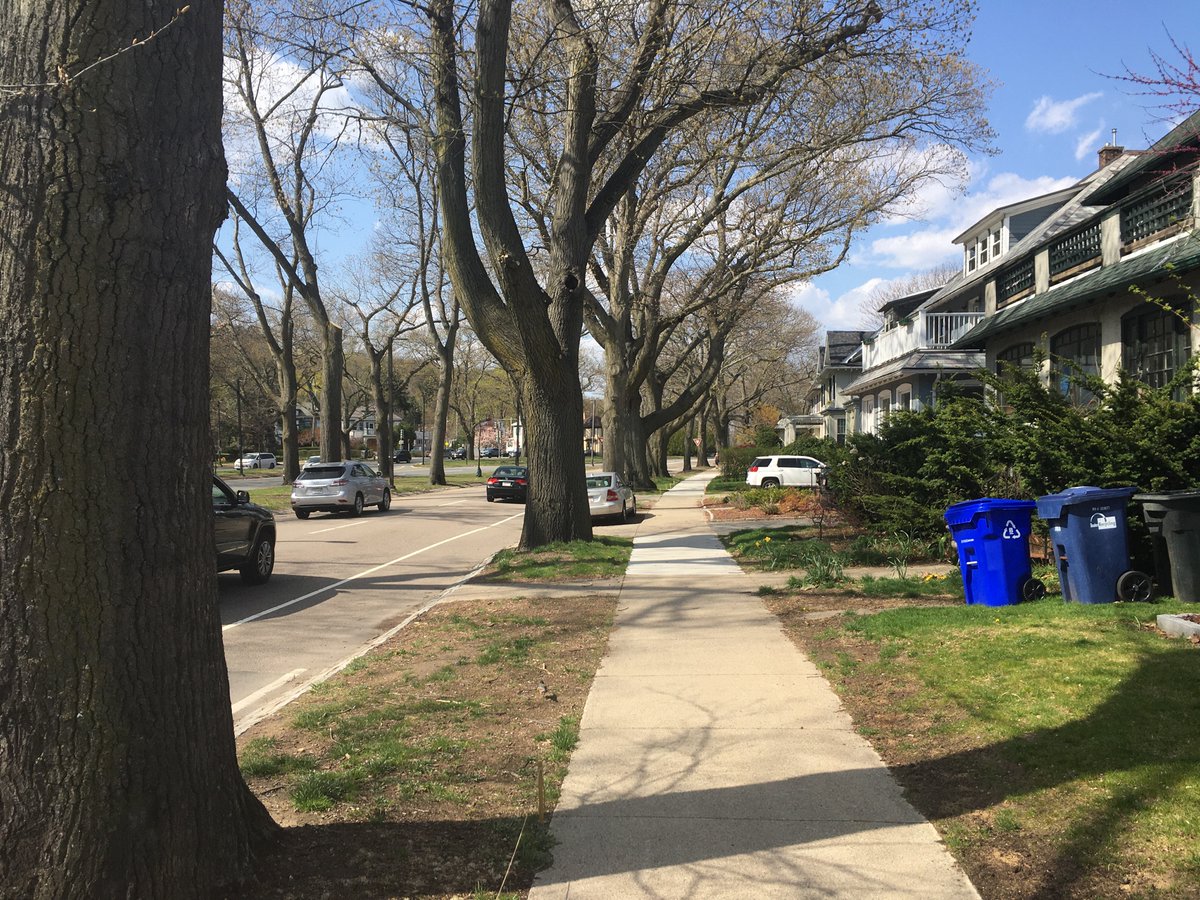 Arborway Part 2. More cars, unfortunately, but the arbors here are much more prominent. Plus, some of the most opulent houses in JP round out the landscape here. I almost want to ring a doorbell, just to see who lives in these things.5/