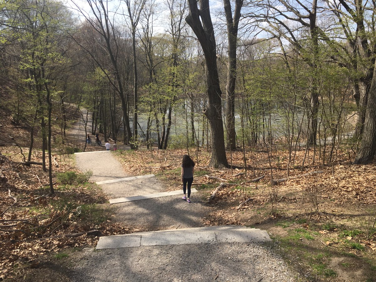 I really love this nameless (?) section of woodland between Jamaica Pond and Olmsted Park. Lots of stone stairs, bridges, and streams. It feels like a piece of the Middlesex Fells transplanted on the nexus of JP and Brookline.7/