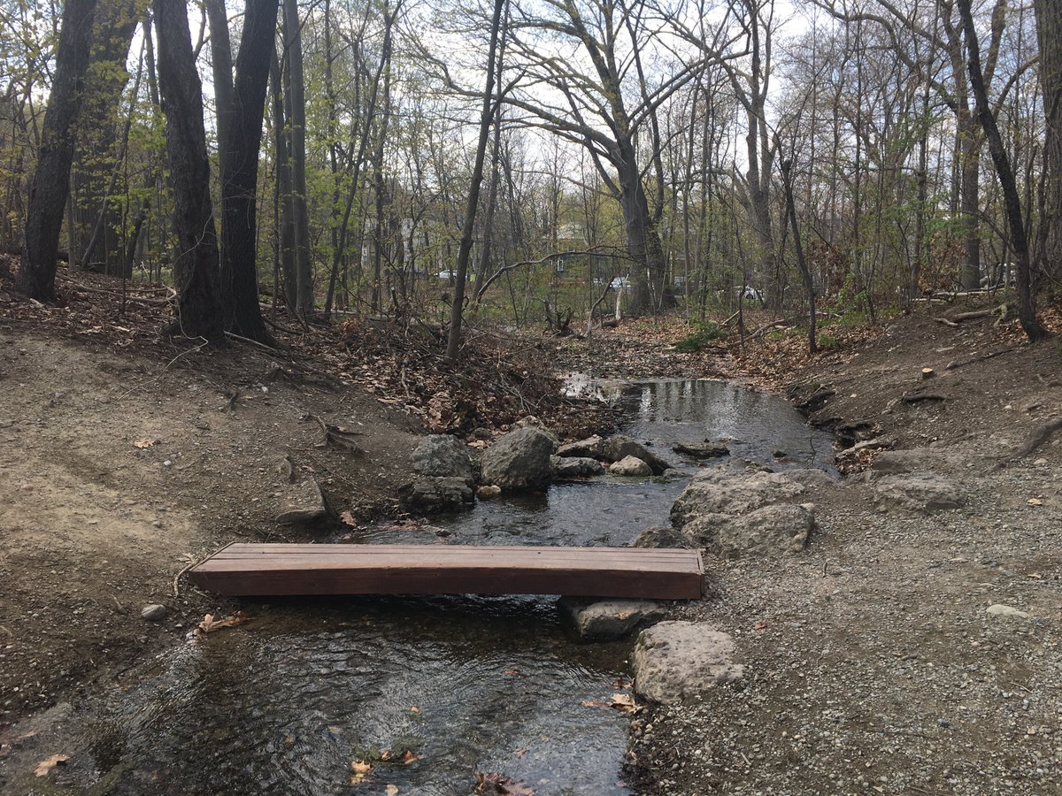 I really love this nameless (?) section of woodland between Jamaica Pond and Olmsted Park. Lots of stone stairs, bridges, and streams. It feels like a piece of the Middlesex Fells transplanted on the nexus of JP and Brookline.7/