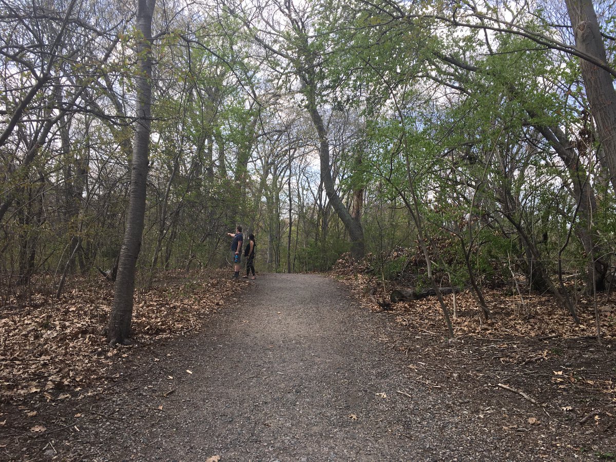 I really love this nameless (?) section of woodland between Jamaica Pond and Olmsted Park. Lots of stone stairs, bridges, and streams. It feels like a piece of the Middlesex Fells transplanted on the nexus of JP and Brookline.7/