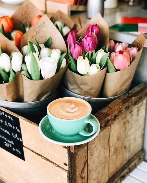 kingdomthing's tweet photo. Take a moment and enjoy the simple things in Life ☀️ surround yourself with small pleasure💕 #ilovetulips #ienjoycoffee #sheappreciatesbeauty #beautifulthings #life #saturday #jesus #Godisgoood #52 https://t.co/h38HerZ3E4