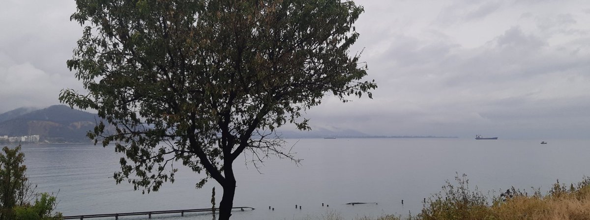 paraskevi_l's tweet photo. #volos #pefkakia https://t.co/LRgqFlq0DT