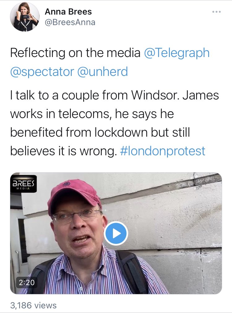 Not gonna link to this video, as it’s from Anna Brees, the UK’s wannabe version of QAnon, but she asks a former Times reader what media brands brought him to the streets today. He says UnHerd, Spectator, Telegraph, her. That’s the pipeline to the sort of accounts up this thread.