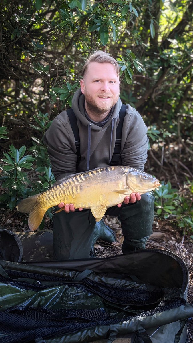 This little fella gave me the run around and snagged me up in an overhanging tree! I was able to wade out and set him free and safely land him, lovely looking mirror carp. #Mirrorcarp #Carpfishing #Fishing