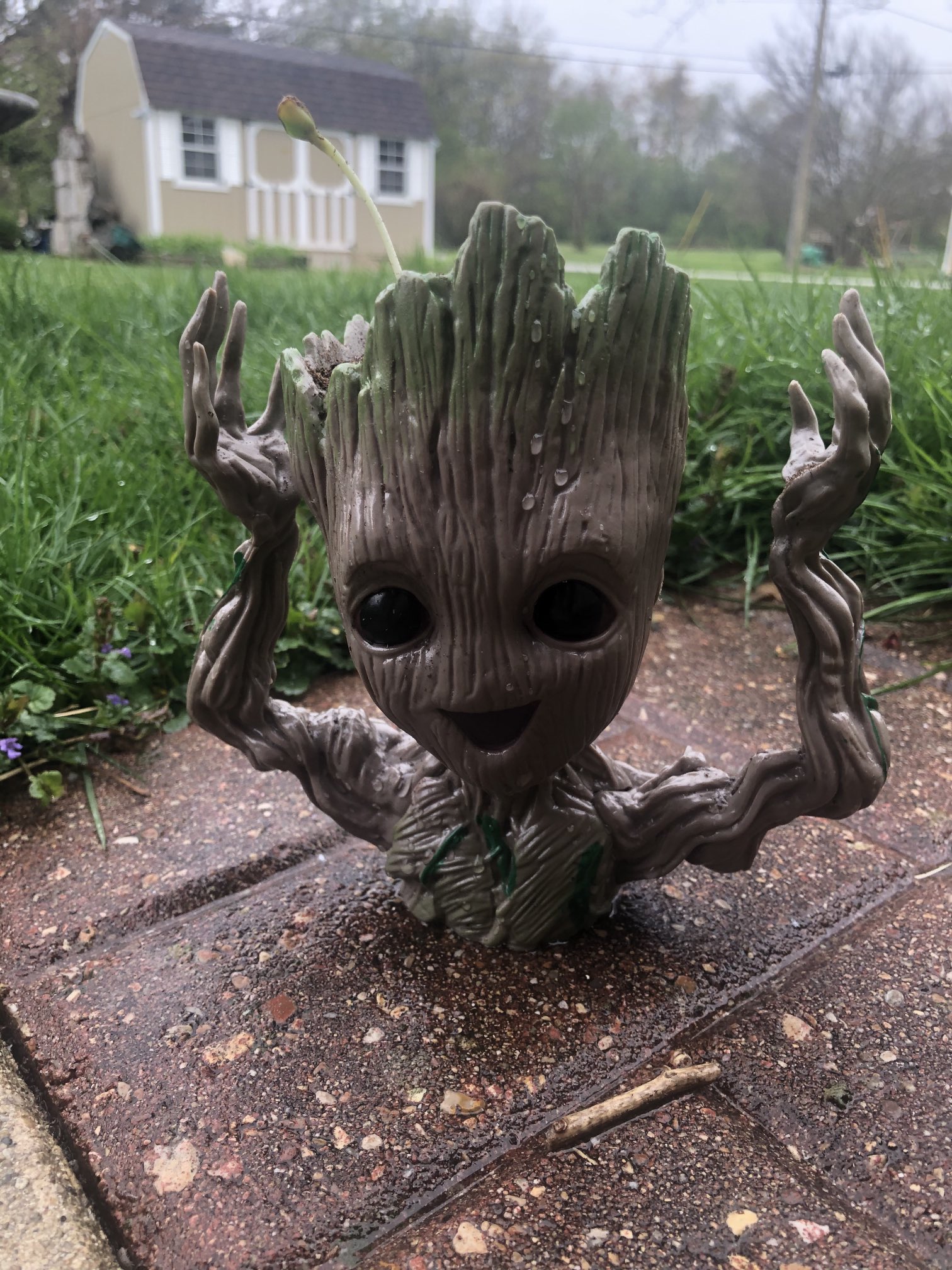 Baby groot hotsell vans