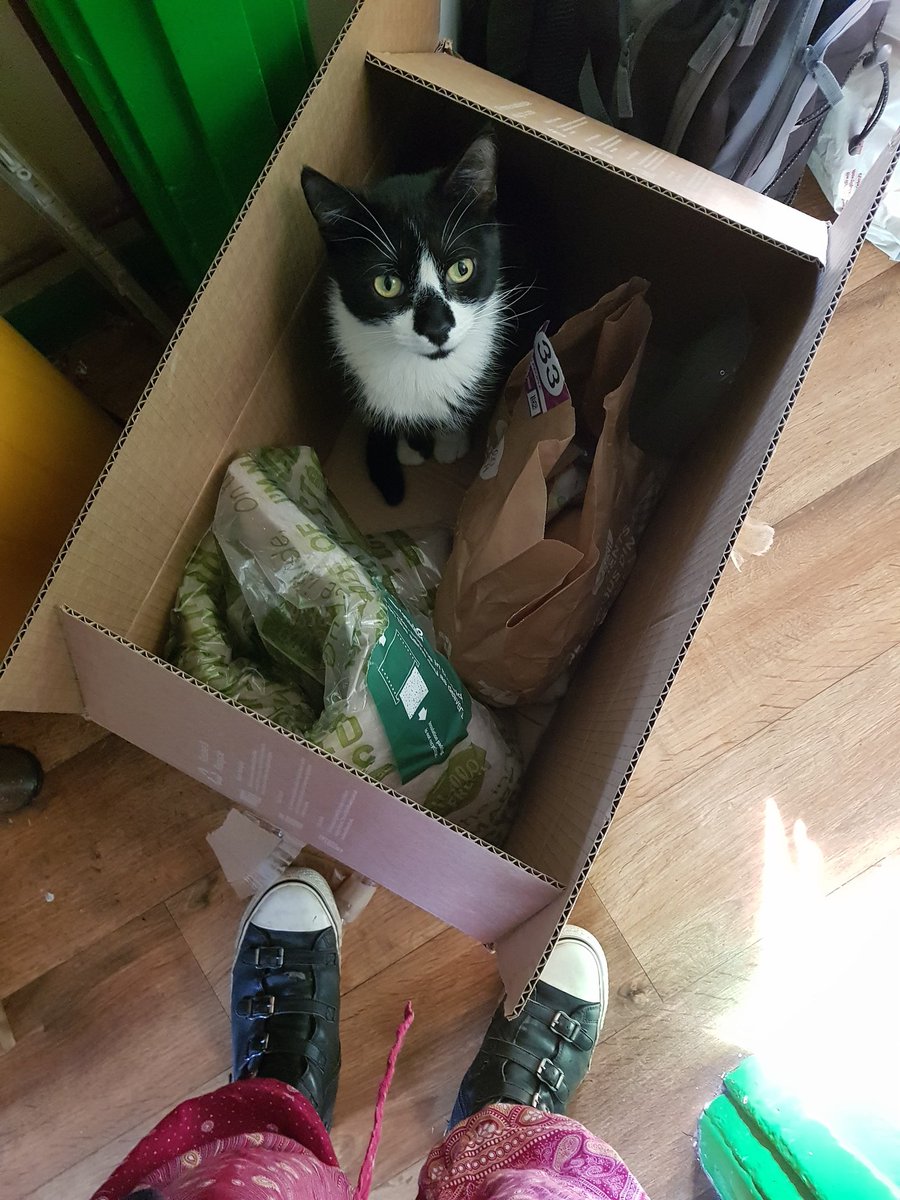 cassiathomas's tweet image. Today's @HelloFreshUK order is extremely so.