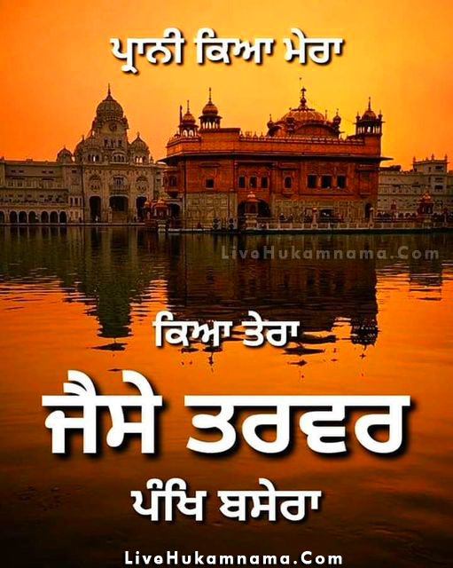 LiveHukamnama's tweet photo. #khalsa #darbarsahib #sikhism #sikhbride #turban #sardarji #singh #punjab #gurbani #anandpursahib #Sikh #sikhhistory #khalsaaid #sikhi #sikhismfeed #amritsarsahib #gurbaniquotes #gurbaniwallpaer #sikhquotes #dailypost #hdsikhwallpaper #dummla  #gurdwara #sikhpath #khalsapanth https://t.co/1w1Bgd9OdT