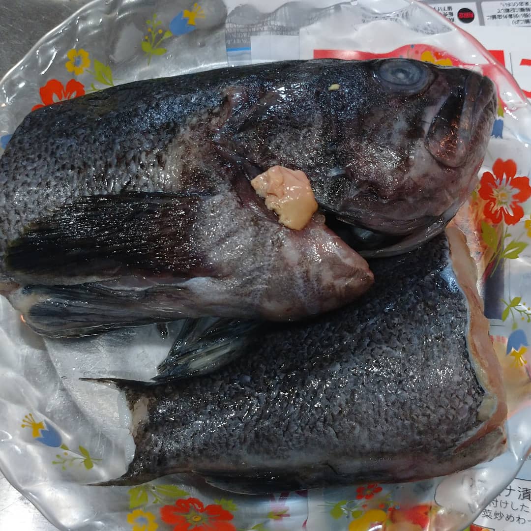 cherry_masaya's tweet photo. #dinner #mycooking #ゆっくりしたい #blackrockfish #seaperch #クロソイ #塩焼き #あら汁 #misosoup #dericious #晩御飯 #独りごはん #魚料理
#美味しい #ゆっくりしたい
#ぼっちごはん
した処理して冷凍してあった
クロソイさん
海のお味噌汁※あら汁と塩焼きに。
やってしまった魚&魚のおかず💦 https://t.co/k6jRjfxnDS