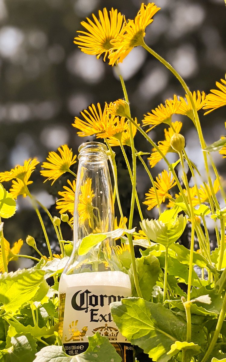 Stoney19771's tweet photo. Der Frühling kommt...
#derfrühlingkommt
#CoronaVirusDE 
#CoronaSchluckimpfung
#Wochenende https://t.co/fimC8sqZ5W