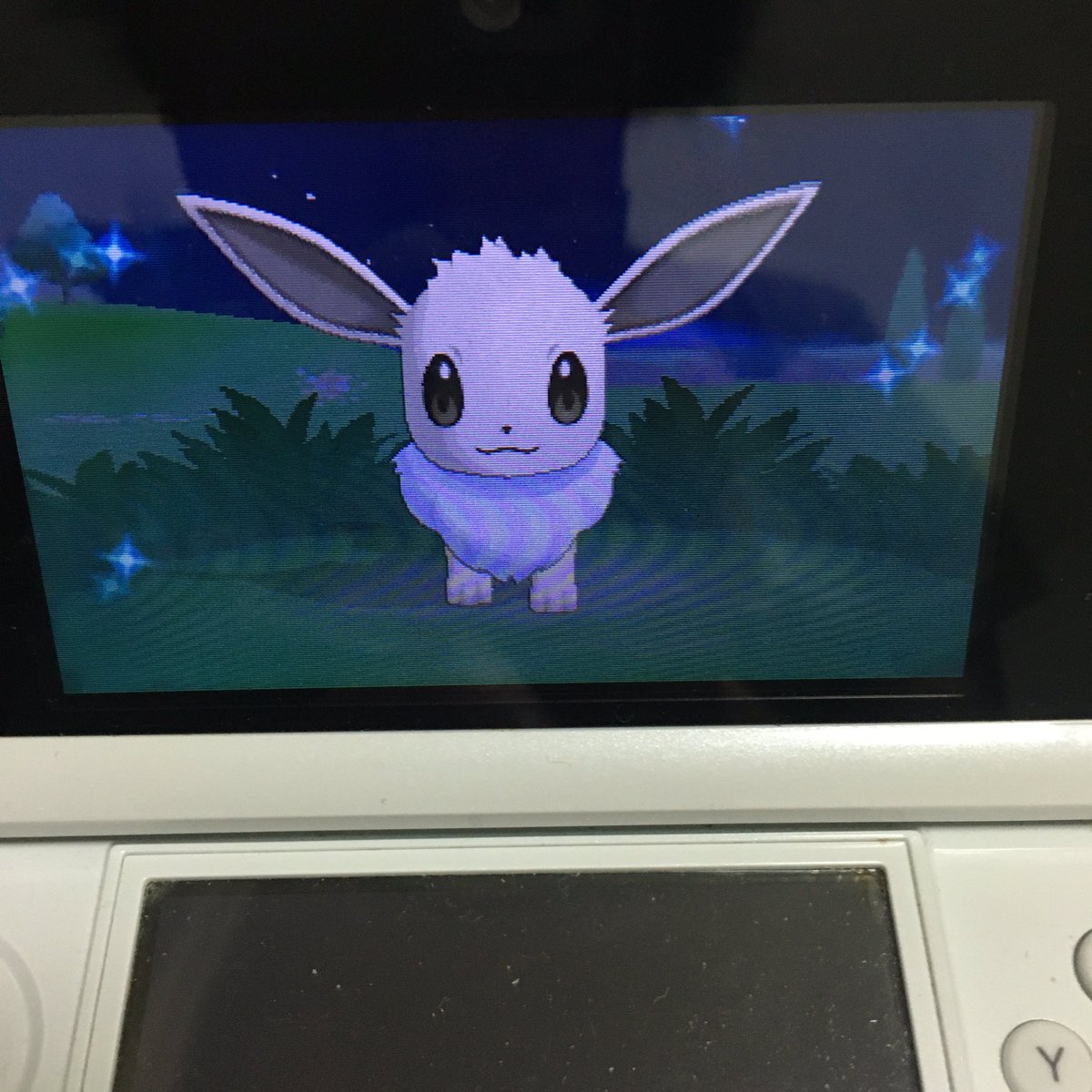 Hal318 群れバトルで色違いは出ず フレサファにて 色違いイーブイを捕まえたぞ 夢特性で いじっぱりだった 色違いポケモン Shinypokemon