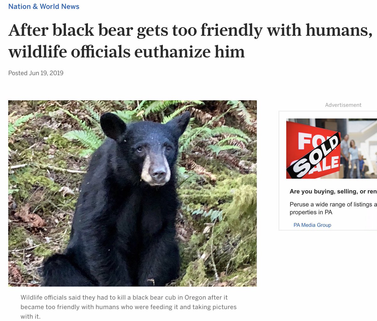 Like you can have sympathy 4 a bear that were exterminated for getting too used 2 humans. Even if the death of the animal were justified/necessary, I suspect most people would find that is a sad situation, &feel sorry 4 the animal... but some people don’t.