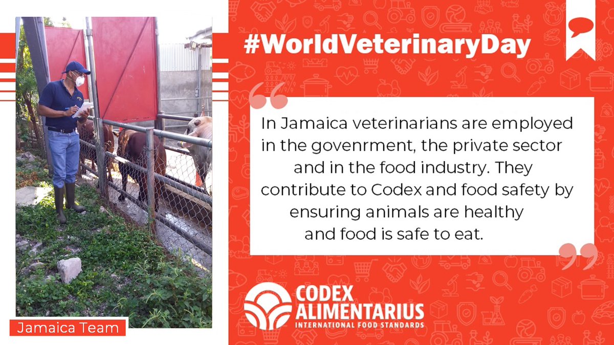  | "In  #Jamaica veterinarians are employed in the govenrment, the private sector and in the food industry. They contribute to  #Codex and  #FoodSafety by ensuring animals are healthy and food is safe to eat".-  Team #WorldVeterinaryDay