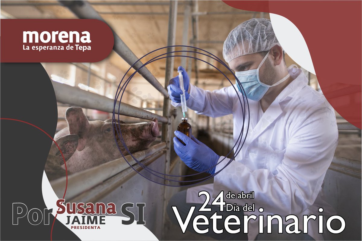SusanaJaimeMer1's tweet photo. Con un enorme reconocimiento por su dedicación y su profesionalismo de aquellos que siempre procuran el bienestar de los  animalitos ¡Feliz día del Veterinario! #DiaDelVeterinario #veterinary https://t.co/fNKTrjMUYI