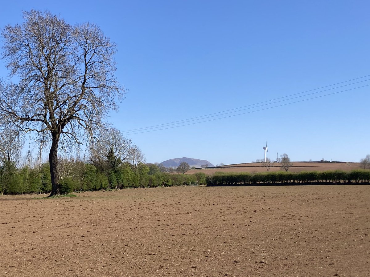 Dunaird Holsteins tweet media