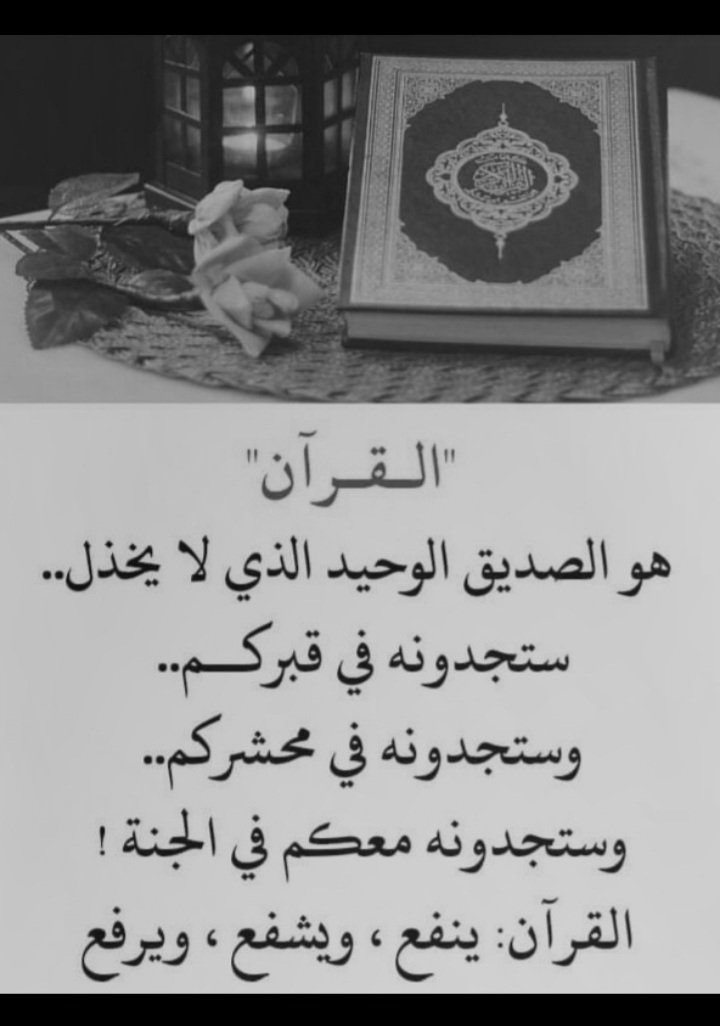ياعلي ٢ tweet media