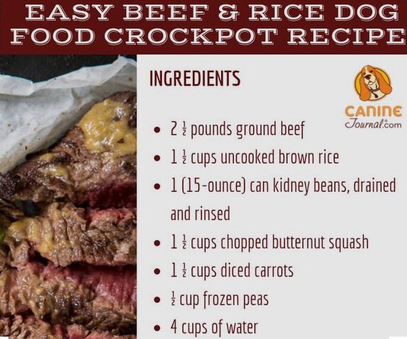 Recipes like this keep me up at night - please don’t feed this as a sole diet for your dog. #Pinterest should not be where you get your #dogfoodrecipes