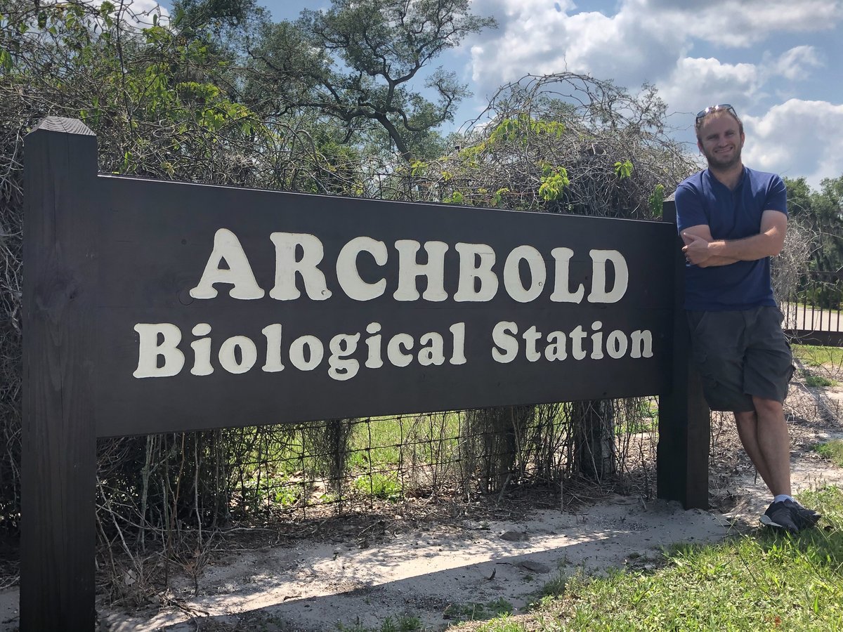 Aaron David tweet media