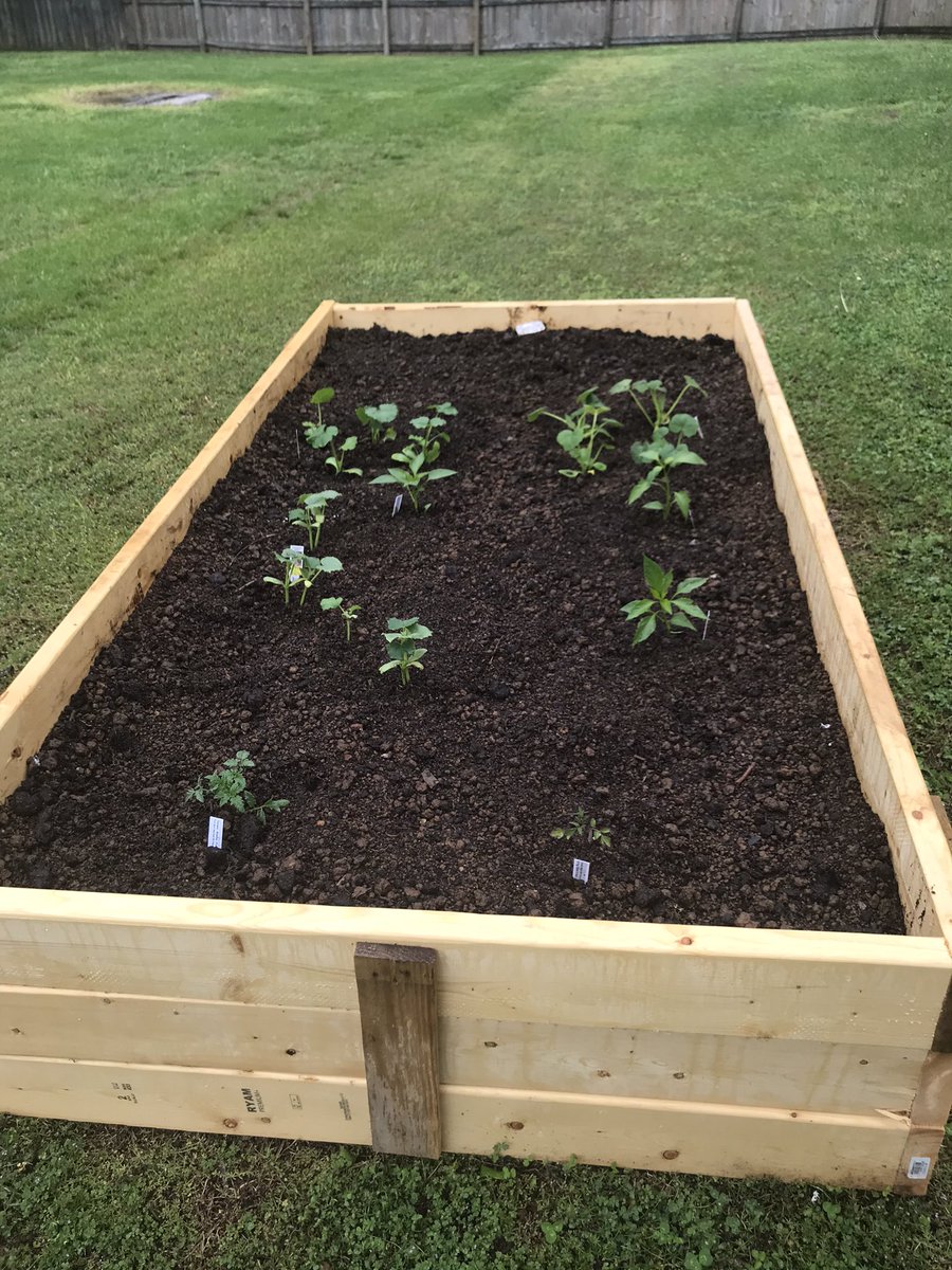 Planted the vegetables in the rain. Mother Nature, do your thing. Free watering all day. #RaisedBedGardening