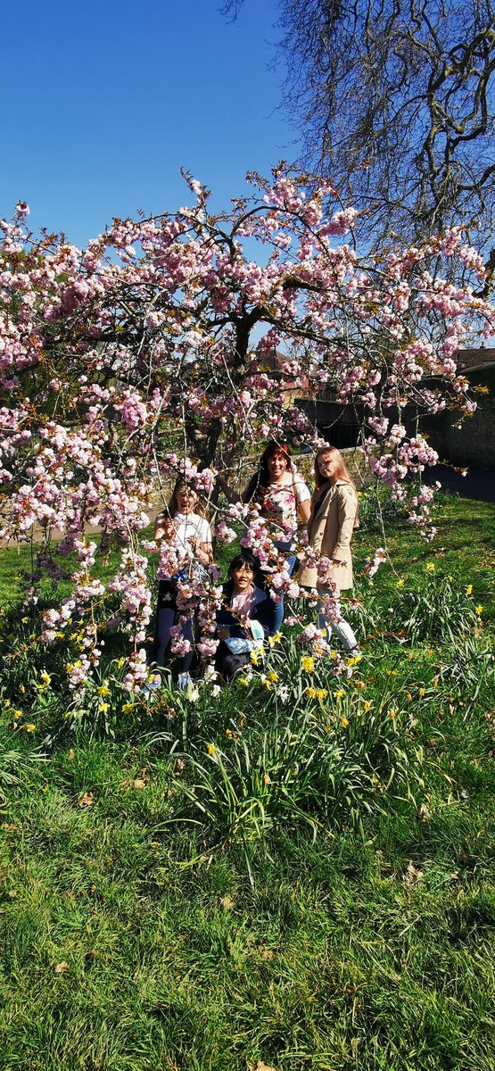 PFBoarding's tweet image. Afternoon walk and trip to #Godalming and of course a treat from @GodalmingDelig1 #iloveboarding @BSAboarding @priors_field