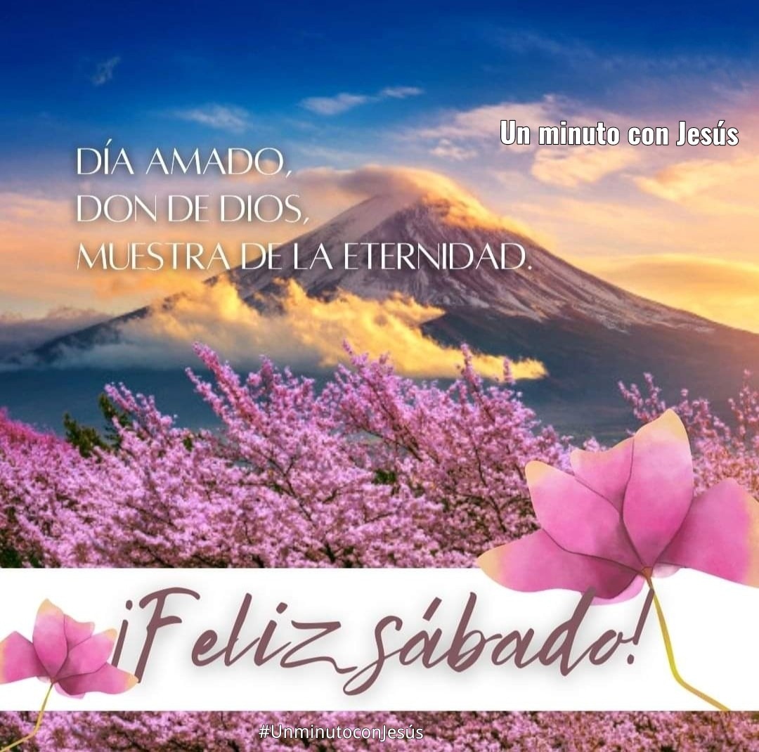 aniselis's tweet photo. Que Dios les regale un tarde de sábado feliz 😍😘👍 https://t.co/4XacOPlSxD