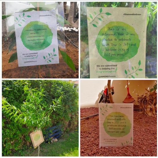 Scott Mitchell tweet media