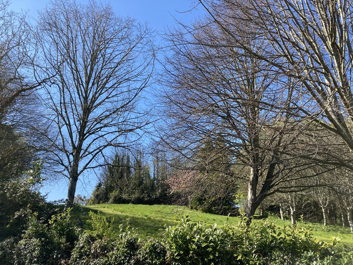 Next up was an essential (long story) trip to Palmerstown, where we stretched our legs by going for a walk with my younger sister and my dad. Here you can see Dad by the prehistoric ring barrow - or if you prefer, the fairy fort - down near the river. No, I didn’t go inside. /2