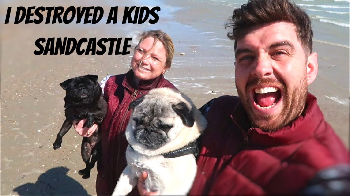 WE STARTED VLOGGING AGAIN youtu.be/Z2GQ9N_o-6o via <a href="/YouTube/">YouTube</a>