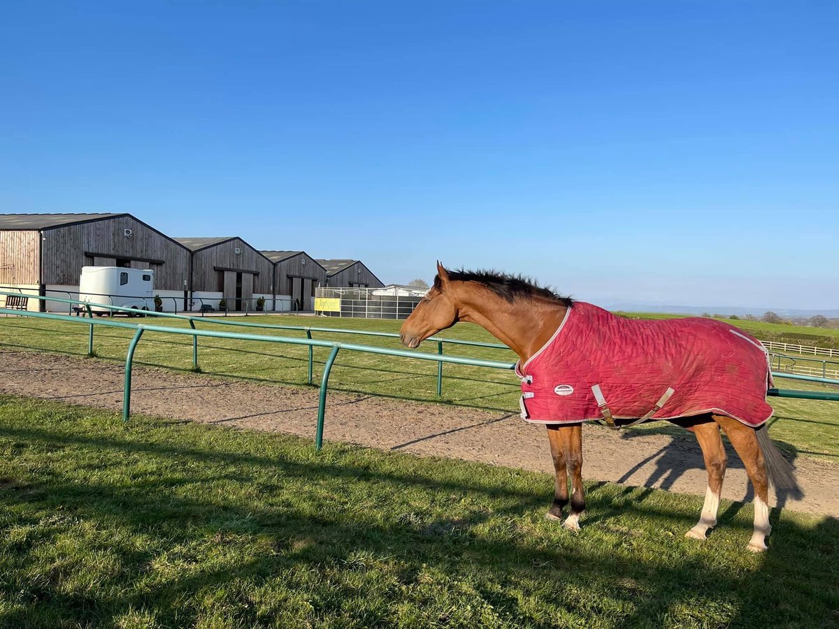 PKirbyRacing's tweet photo. Wemyss Point - Winning on Monday and living the good life, turnout before bedtime 🌞￼ https://t.co/wtWfkls0Bt