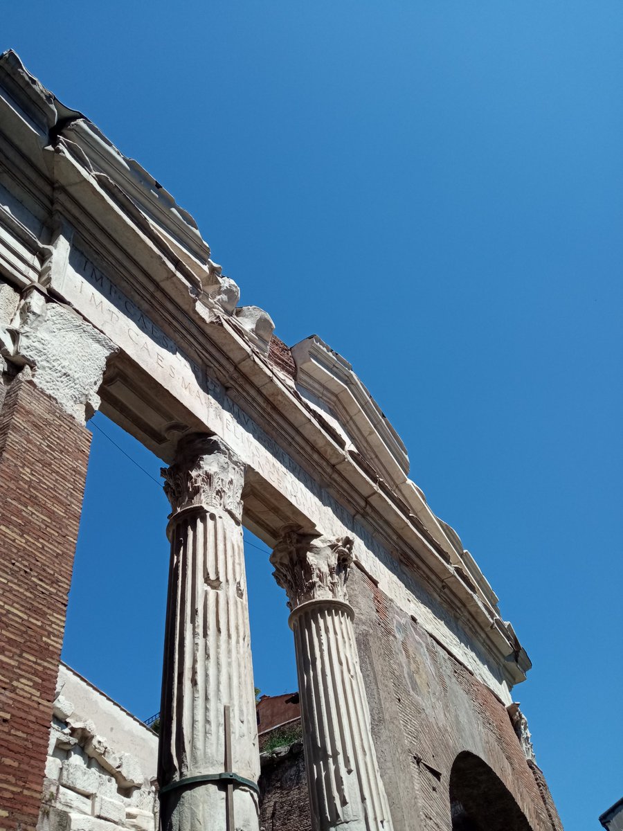 Maria Frega tweet media