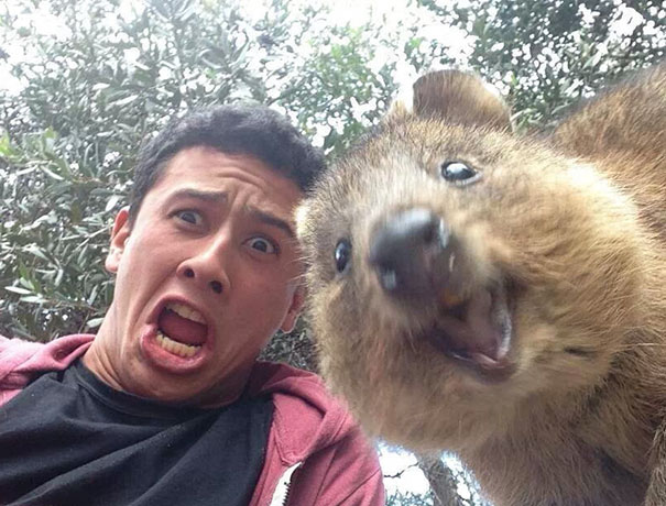 Animals Taking Selfies (7)