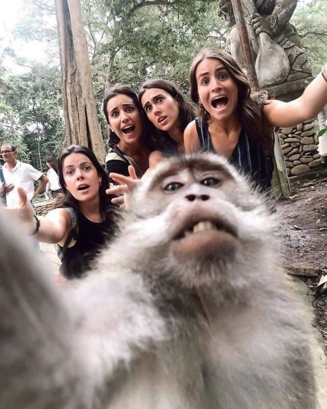 Animals Taking Selfies (10)