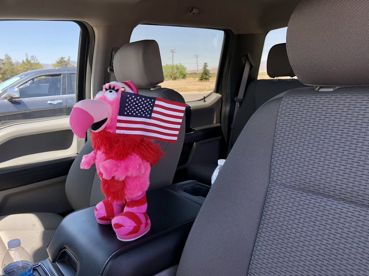 ExtremeRVing's tweet photo. What is Fancy up to now?! #FollowFancy #flamingos #leaveordinarybehind #ExploreOurNation #iPhonePhotography #OnTheRoad @keystonervcompany #trailerlife #TravelTribe #fulltimerv #rv #rvlife
@gorving @rvcom #getoutside #homeiswhereyouparkit https://t.co/xYqtMwpVYi