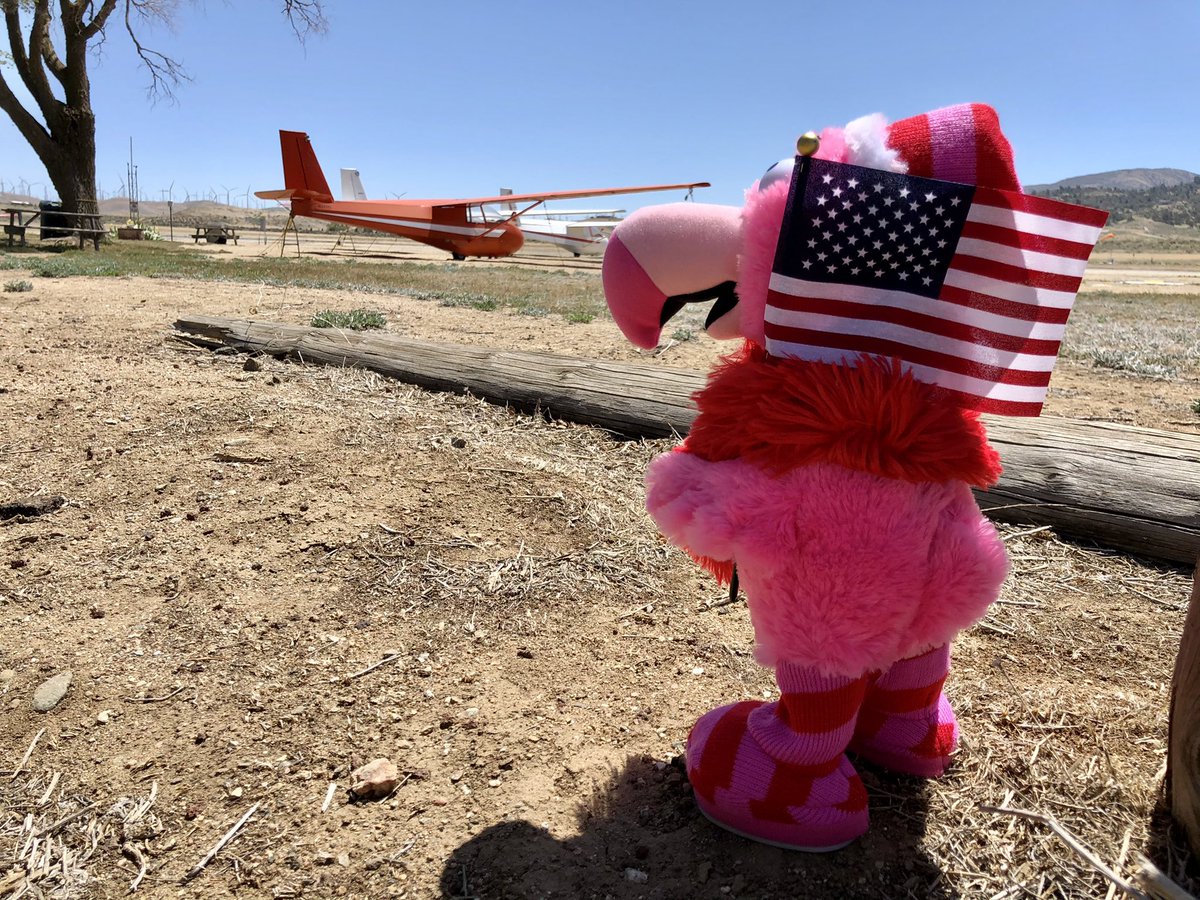 ExtremeRVing's tweet photo. What is Fancy up to now?! #FollowFancy #flamingos #leaveordinarybehind #ExploreOurNation #iPhonePhotography #OnTheRoad @keystonervcompany #trailerlife #TravelTribe #fulltimerv #rv #rvlife
@gorving @rvcom #getoutside #homeiswhereyouparkit https://t.co/xYqtMwpVYi