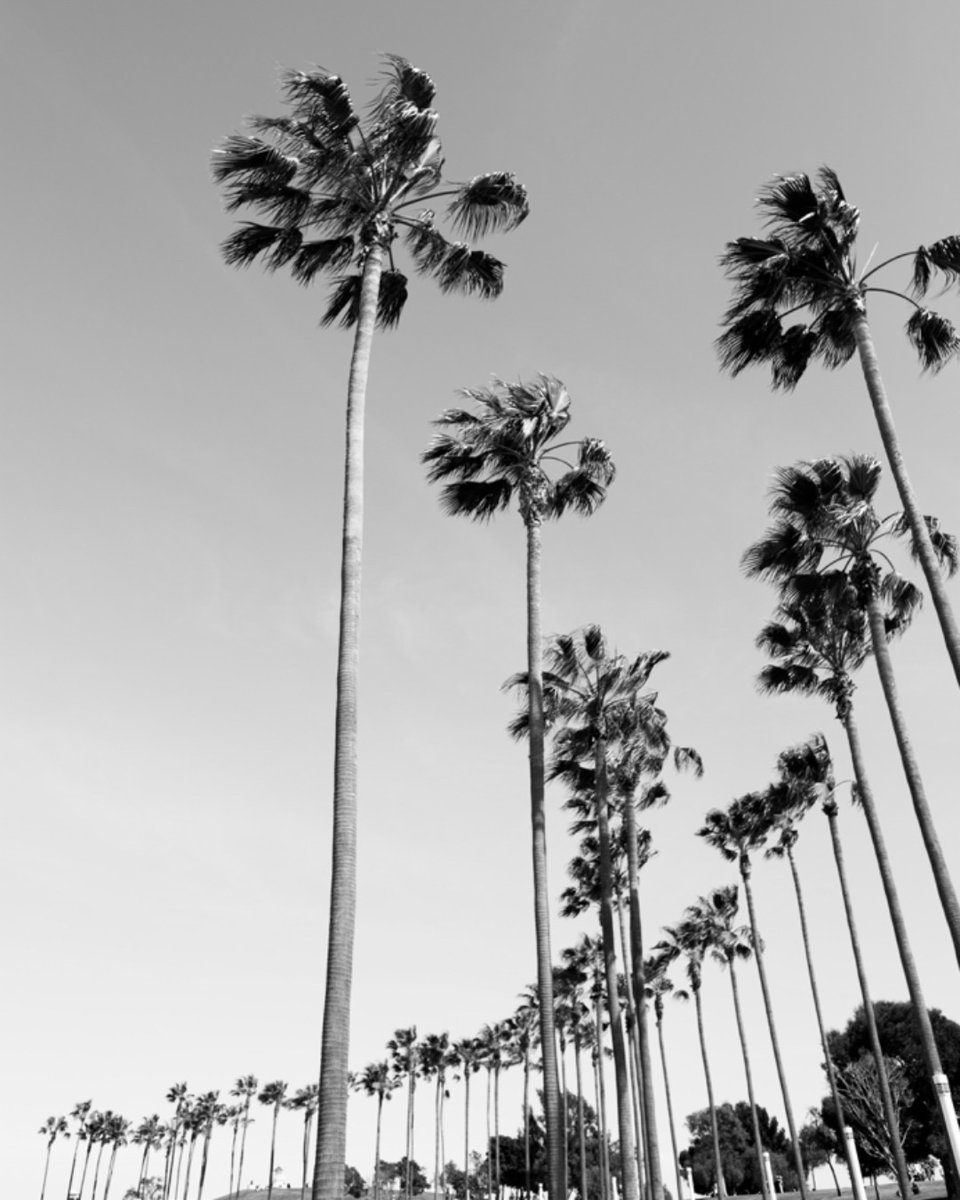 CompoundLB tweet media